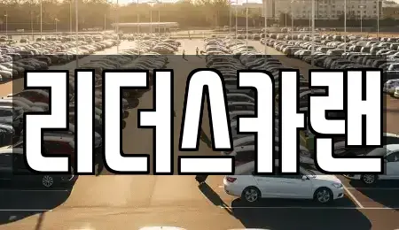 경기도 하남시 신장동 단기렌트카 전문 리더스카랜