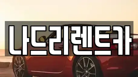 경기도 하남시 신장동 렌트카 전문 나드리렌트카