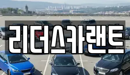 경기도 하남시 신장동 렌트카 전문 리더스카랜트