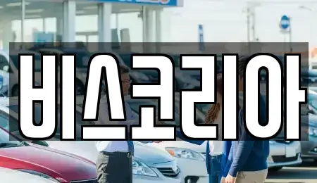 경기도 하남시 신장동 렌트카 전문 비스코리아