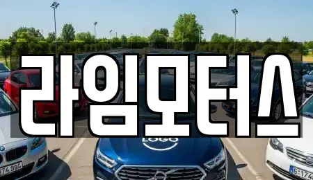 경기도 하남시 신장동 중고차 전문 라임모터스