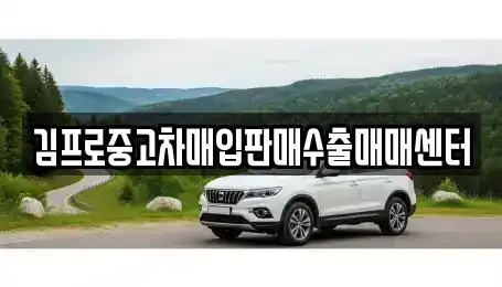 경기도 하남시 신장동 중고차매입 전문 김프로중고차매입판매수출매매센터