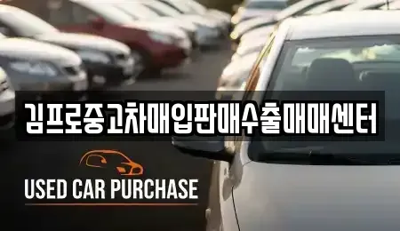 경남 창원시 마산합포구 예곡동 중고차매입 전문 김프로중고차매입판매수출매매센터