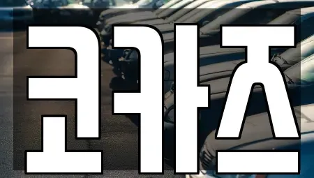 경북 성주군 벽진면 중고차 전문 코카즈