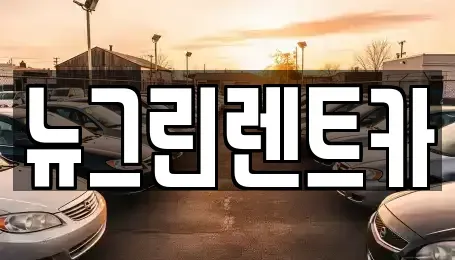 경북 성주군 선남면 렌트카 전문 뉴그린렌트카