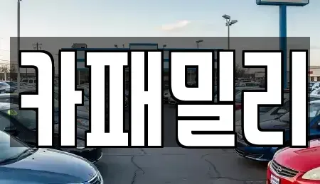 경북 성주군 선남면 중고차 전문 카패밀리