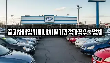 경북 안동시 광석동 중고차매입 전문 중고차매입시세내차팔기견적가격수출업체