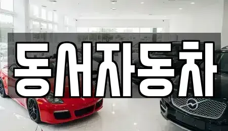 경상남도 창원시 마산합포구 진북면 중고차매매 전문 동서자동차