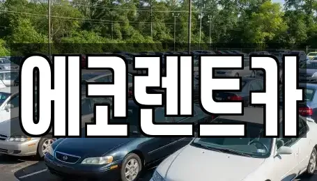 광주 광산구 옥동 렌트카 전문 에코렌트카
