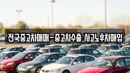 광주 광산구 옥동 중고차매입 전문 전국중고차매매-중고차수출,사고노후차매입