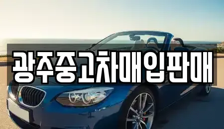광주 남구 봉선동 중고차 전문 광주중고차매입판매