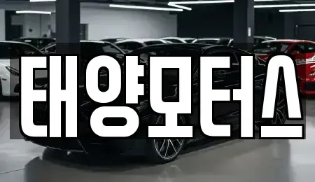 광주 남구 송하동 중고차 전문 태양모터스