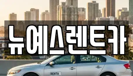 대구 중구 동성로3가 렌트카 전문 뉴예스렌트카