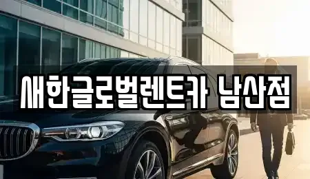 대구 중구 동성로3가 렌트카 전문 새한글로벌렌트카 남산점