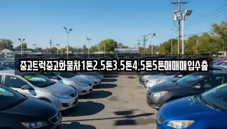 대구 중구 동성로3가 중고차 전문 중고트럭중고화물차1톤2.5톤3.5톤4.5톤5톤매매매입수출