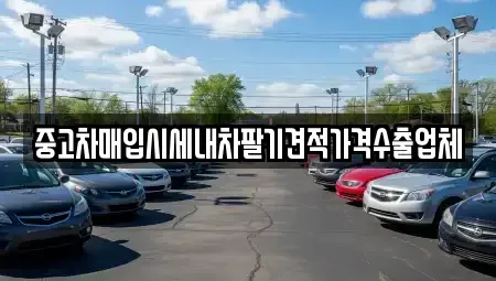 대구 중구 동성로3가 중고차매입 전문 중고차매입시세내차팔기견적가격수출업체