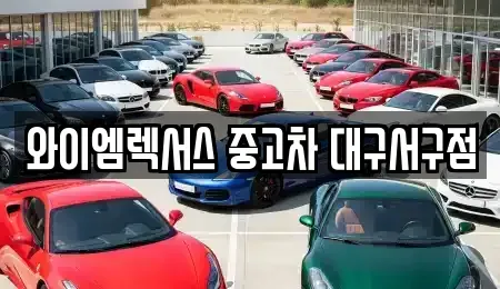 대구광역시 서구 상리동 중고차 전문 와이엠렉서스 중고차 대구서구점