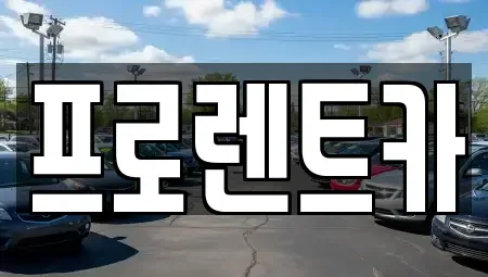 대전 대덕구 문평동 장기렌트카 전문 프로렌트카