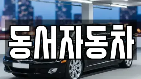 부산광역시 서구 충무동1가 중고차 전문 동서자동차