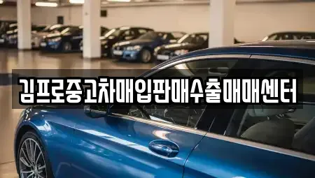 부산광역시 영도구 중고차매입 전문 김프로중고차매입판매수출매매센터