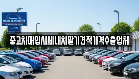 서울 강동구 성내동 중고차 전문 중고차매입시세내차팔기견적가격수출업체