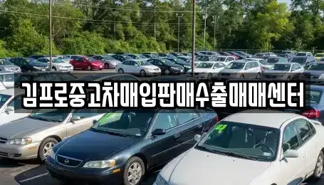 서울 강동구 성내동 중고차매입 전문 김프로중고차매입판매수출매매센터