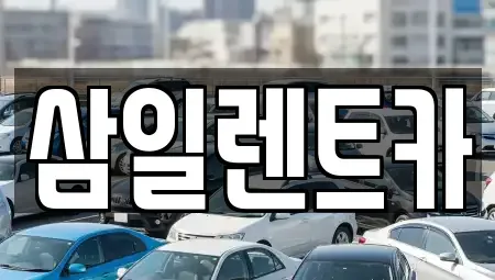 서울특별시 송파구 송파동 렌트카 전문 삼일렌트카