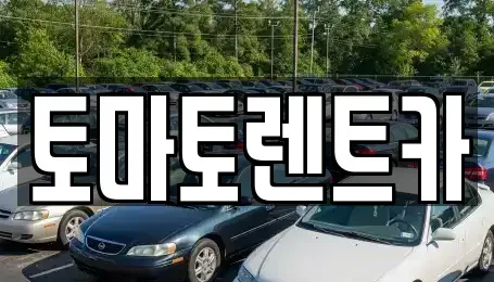 서울특별시 송파구 송파동 렌트카 전문 토마토렌트카