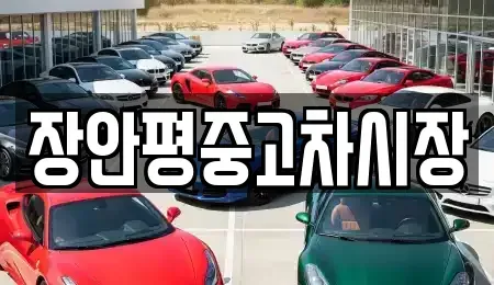 서울특별시 송파구 송파동 중고차매매 전문 장안평중고차시장