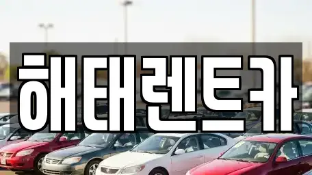 전남 영광군 백수읍 중고차매매,단기렌트카,중고차매입,장기렌트카,중고차,렌트카