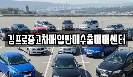 전북 완주군 삼례읍 중고차 전문 김프로중고차매입판매수출매매센터
