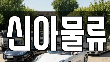 전북 완주군 삼례읍 중고차 전문 신아물류