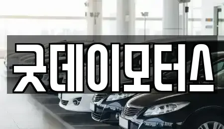 전북 전주시 덕진구 팔복동2가 중고차매매 전문 굿데이모터스