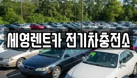 전북특별자치도 전주시 덕진구 여의동 렌트카 전문 세영렌트카 전기차충전소