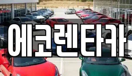전북특별자치도 전주시 덕진구 여의동 렌트카 전문 에코렌타카