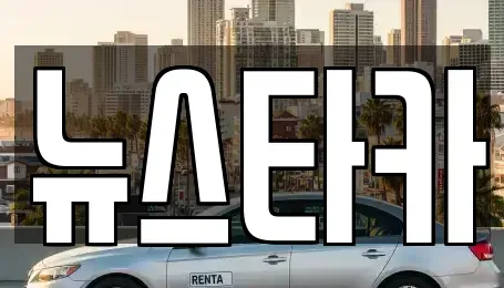 전북특별자치도 전주시 덕진구 여의동 중고차 전문 뉴스타카