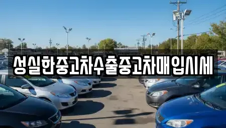 전북특별자치도 전주시 완산구 다가동2가 중고차 전문 성실한중고차수출중고차매입시세
