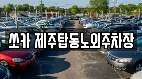제주 제주시 건입동 렌트카 전문 쏘카 제주탑동노외주차장