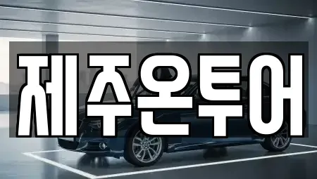 제주 제주시 건입동 렌트카 전문 제주온투어