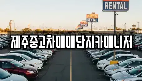 제주 제주시 건입동 중고차매매 전문 제주중고차매매단지카매니저