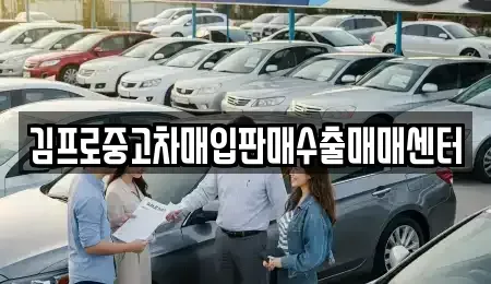 제주 제주시 건입동 중고차매입 전문 김프로중고차매입판매수출매매센터