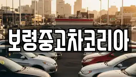 충남 보령시 내항동 중고차 전문 보령중고차코리아