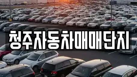 충북 청주시 청원구 오동동 중고차 전문 청주자동차매매단지